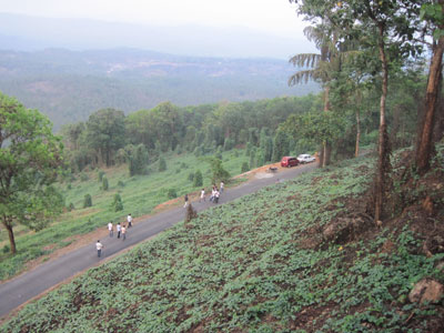 Arimbra Mala (Hill) Mini Ooty -2