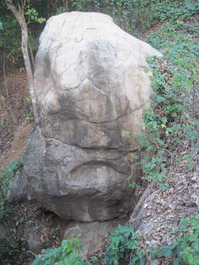 Arimbra Mala (Hill) Mini Ooty -3