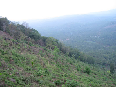 Arimbra Mala (Hill) Mini Ooty -4