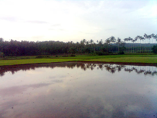 Arimbra Arimbra