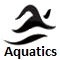 Asian Games 2010 Aquatics Icon