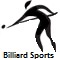 2010 Asian Games billiard sports icon