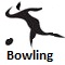 2010 Asian Games Bowling icon