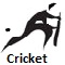 2010 Asian Games Cricket icon