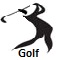 2010 Asian Games Golf icon
