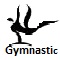 2010 Asian Games Gymnastics icon