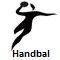 2010 Asian Games Handball icon