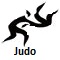 2010 Asian Games Judo icon
