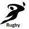 2010 Asian Games Rugby icon