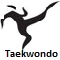 2010 Asian Games Taekwondo icon
