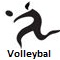 2010 Asian Games Volleyball icon