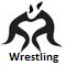 2010 Asian Games Wrestling icon