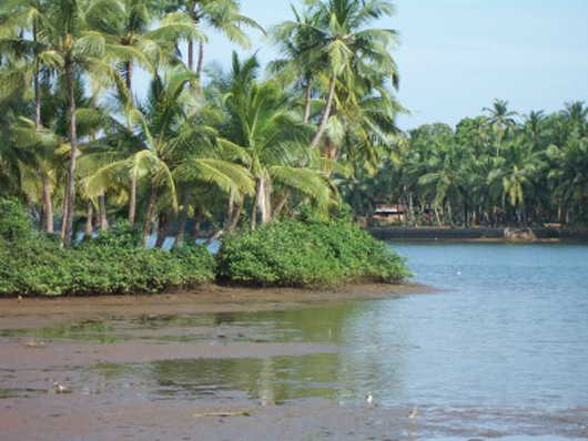 Biyyam Kayal(Lake) biyyam kayal(Lake)
