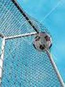 Top Goal hunters