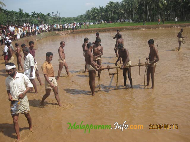 kaalapoottu competetion in arimbra malapppuram district2