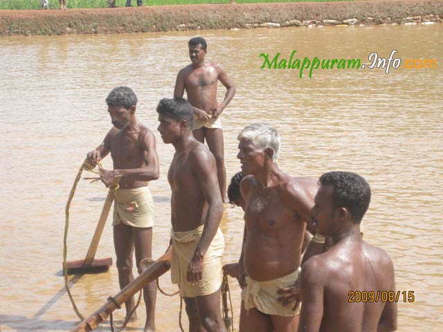 kaalapoottu competetion in arimbra malapppuram district4
