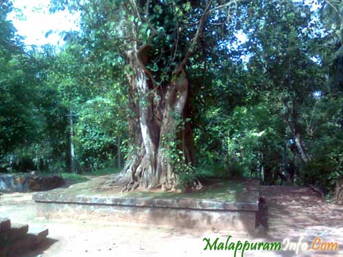 Morayur Temple Almaram Morayur Temple Almaram