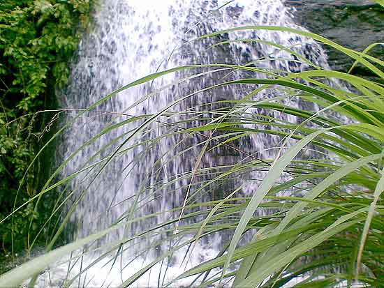 Natuaral Waterfalls Arimbra Hill Natuaral Waterfalls Arimbra Hill